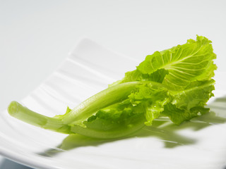 shot of vege on the white background