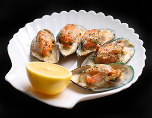 mussel