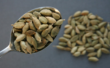 Spoonful of cardamom