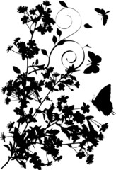 butterflies and cherry tree flowers silhouette