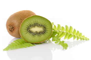 kiwi