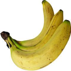 Bananes dans carré
