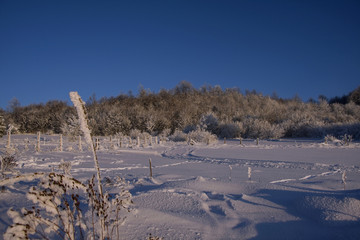 Winter, snow, nature.