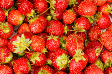 Lots of strawberries arranged as the background