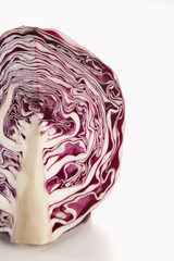 Fototapeta premium shot of cabbage on the white background