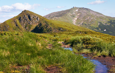 Summer mountain view