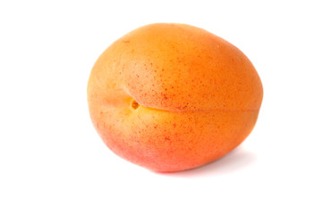 apricot isolated on white