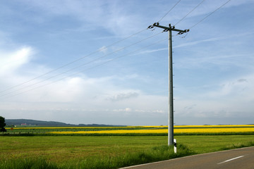 Telephone pole in rural field