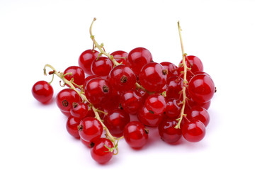 Red currant on a white surfce
