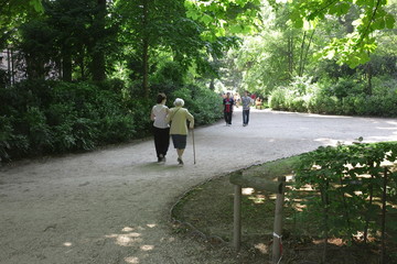 paris jardin du luxembourg