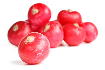 Fresh radish