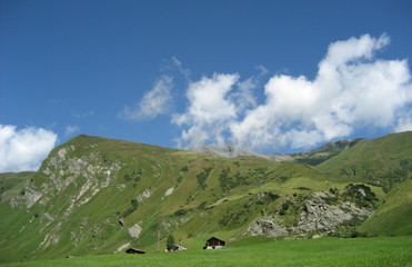 Fototapeta premium auf der alp
