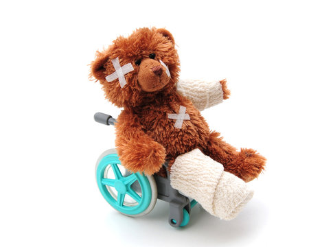 Bear in wheelchair