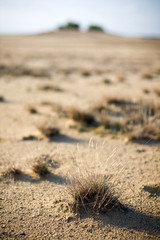 details in the desert