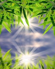 Fototapeta na wymiar Bamboo and sky reflected in the water; Zen atmosphere.