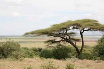Landschaft in Afrika