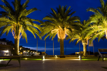 Fototapeta na wymiar palm-trees decorated with garlands