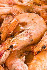 Frozen prawns