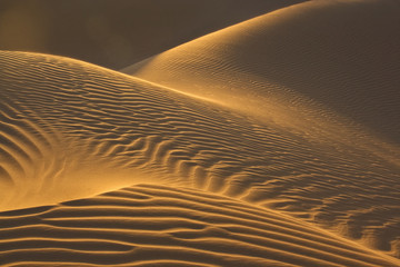 sand dunes in evening sun