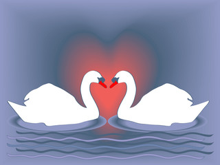 swans heart
