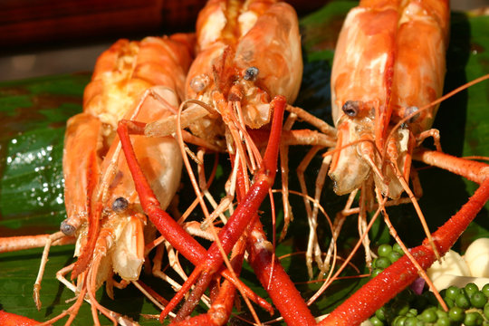 river lobster