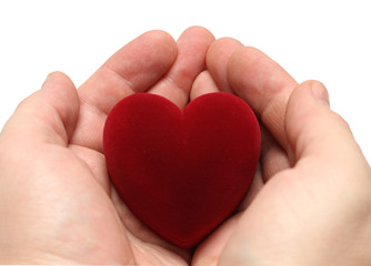 Fototapeta premium man's hands with heart