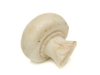 Fresh mushrooms isolated on a white background
