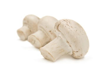 Fresh mushrooms isolated on a white background