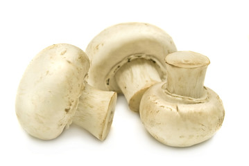 Fresh mushrooms isolated on a white background