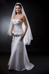 Bride in wedding dress