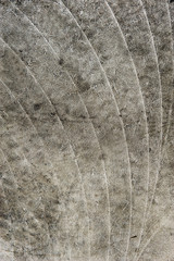 Fototapeta premium Abstract grunge texture