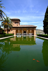 les jardins de l'Alhambra - Grenade