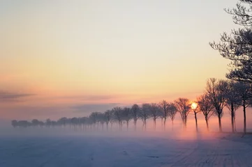 Gordijnen Wintermorgen 2 © dd