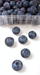 bilberries in a transparent package and six close up in front