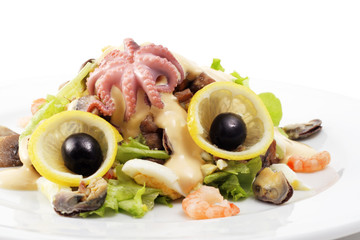 Seafood Salad