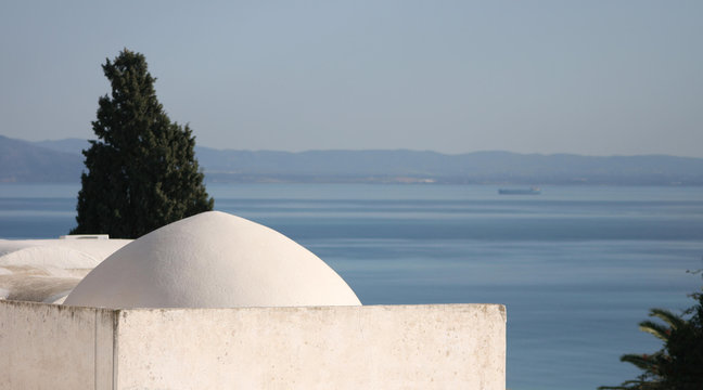 toits de sidi bou said