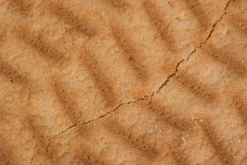 Cookies macro texture.