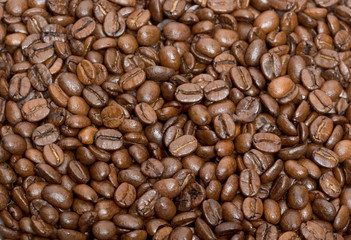 Coffee Beans Texture