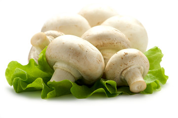 Mushrooms on a piece of lettuce