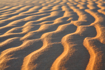 Sahara desert background