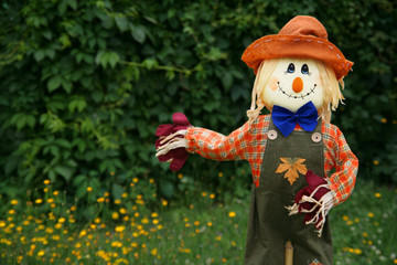 Smiling scarecrow, copy space - 11491155