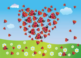 Peel and stick wall murals Ladybugs Heart of summer from ladybirds