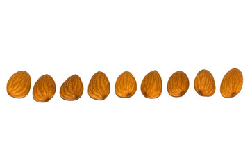 Line of Almonds