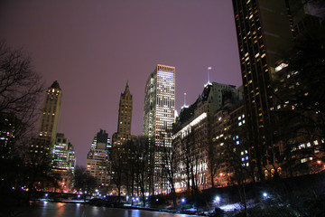 Central Park and manhattan skyline at night