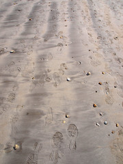 Foot Shoe Print Sand