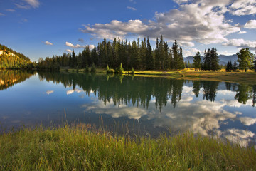 Fototapeta premium Cold autumn light.