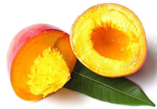 mangue