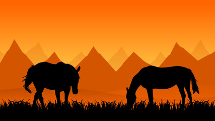 Fototapeta na wymiar two horses on pasture at sunset in summer