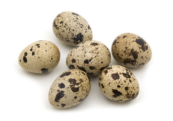 Obraz premium quail eggs on white background