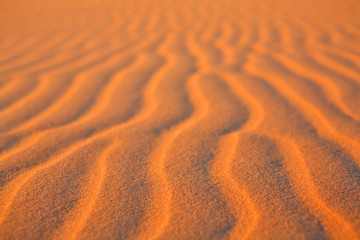 Sahara desert background